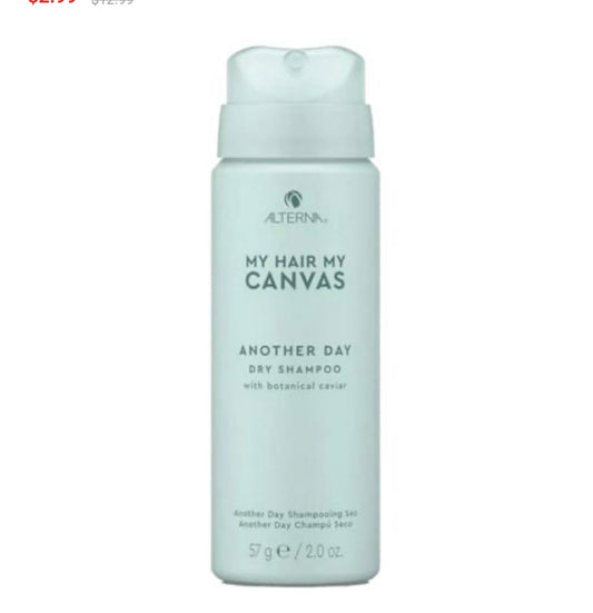 Alterna Dry Shampoo Travel Size